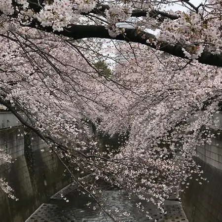 Rosenheim Tokyo Shinjuku-3