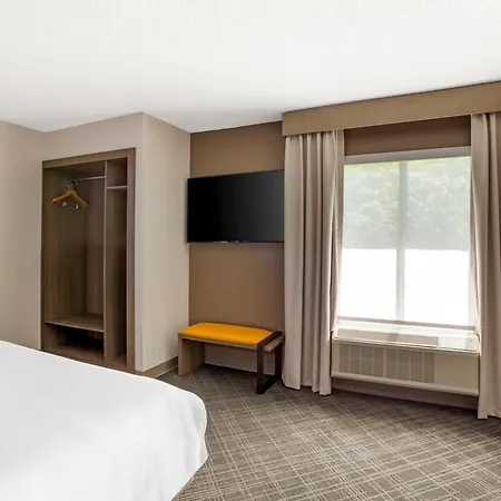 Comfort Suites Nashville Airport - Bna-2