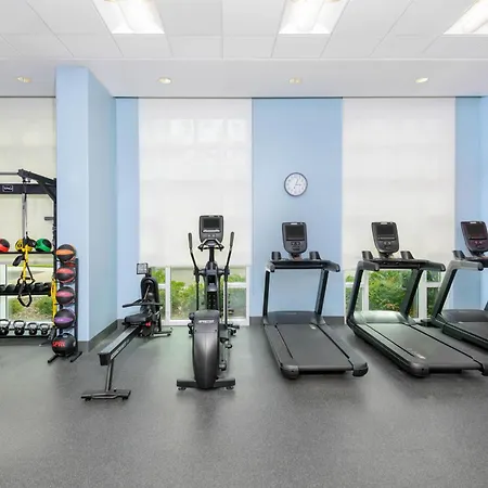 Hampton Inn & Suites Tampa Airport Avion Park Westshore-3