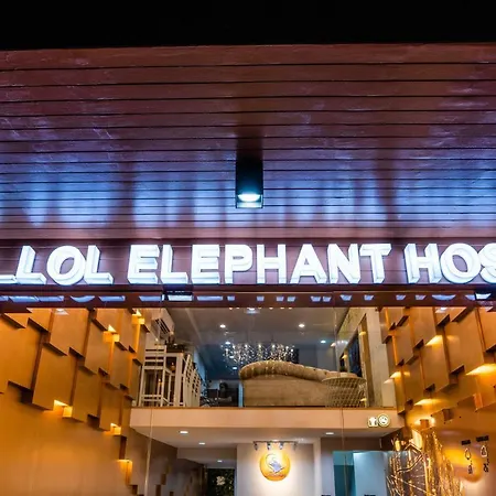 The Lol Elephant Hostel-3
