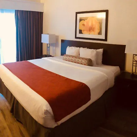 Baymont By Wyndham Tampa Near Busch Gardens-2