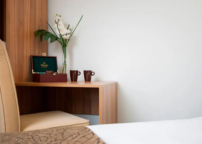 Ascotia Off Queen Auckland