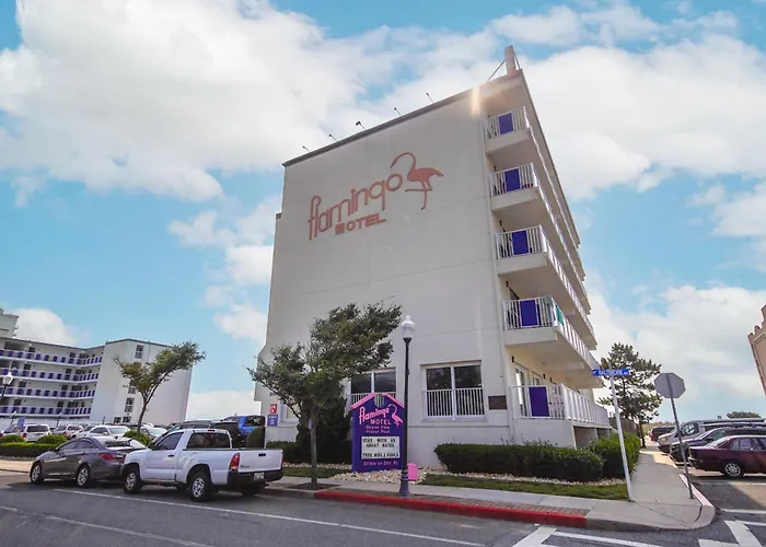 Flamingo Motel Ocean City
