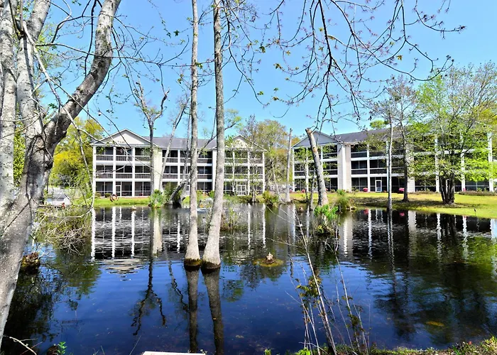 All New Luxury Beach Retreat 1 Mile To Beach W Pool Myrtle Beach