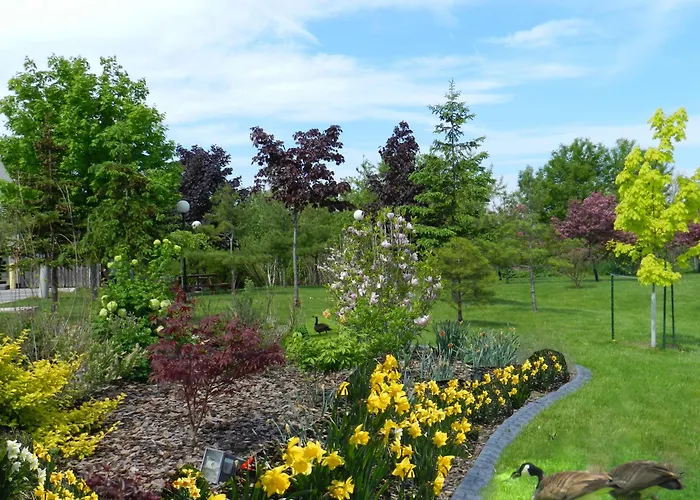 Capri Inn Saint Catharines