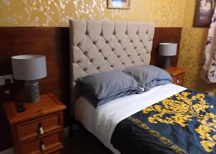 Ivy- Braveheart Guest House Edinburgh