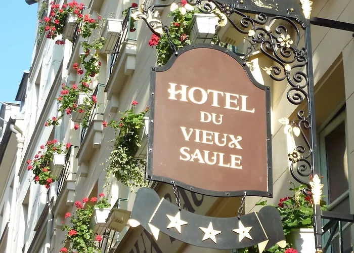 Hotel Du Vieux Saule Paris