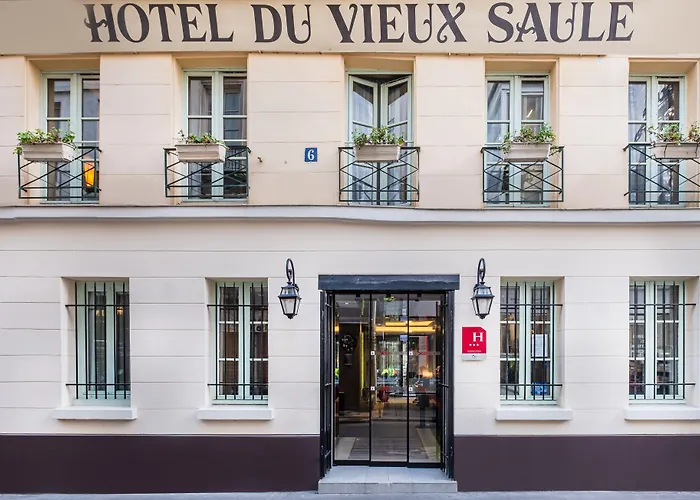 Hotel Du Vieux Saule Paris