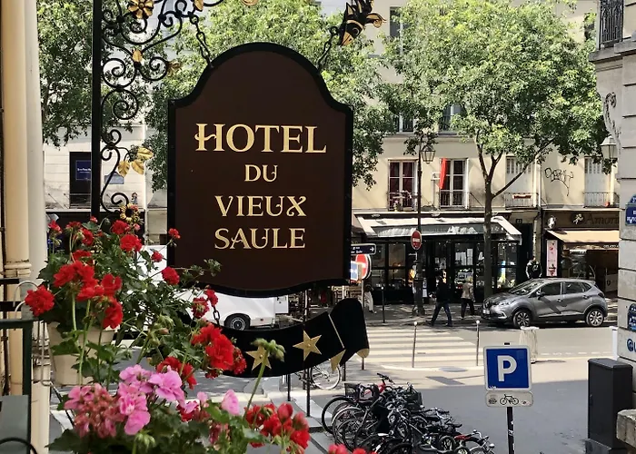 Hotel Du Vieux Saule Paris