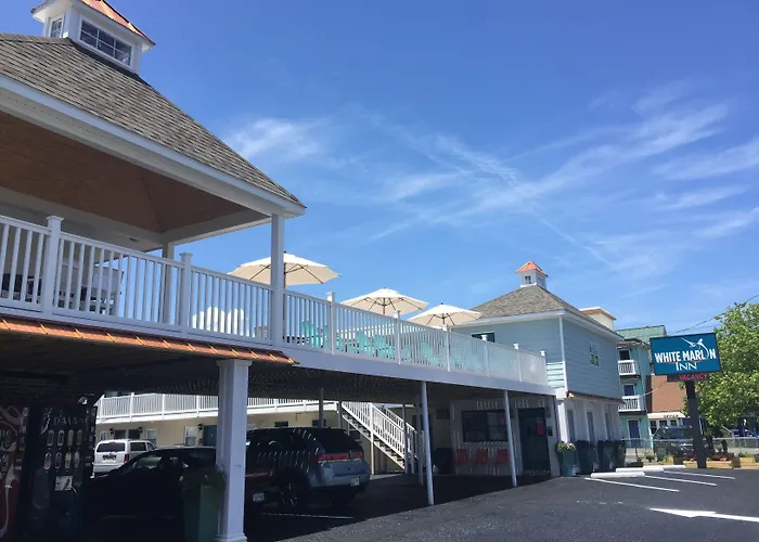 White Marlin Inn Ocean City
