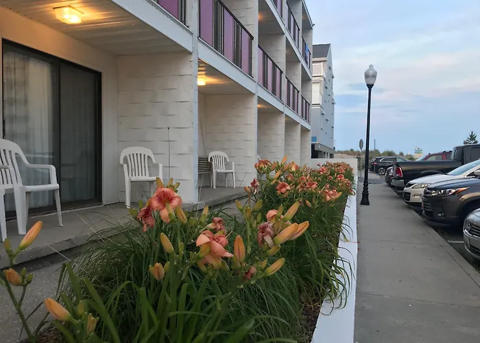 Simple Life Motel Ocean City