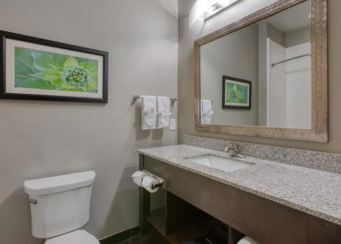 Best Western Plus Tech Medical Center Inn Lubbock