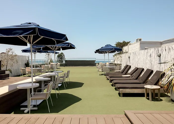 Wake Up! Bondi Beach Sydney