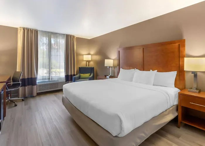 Comfort Inn Franklin Highway 96