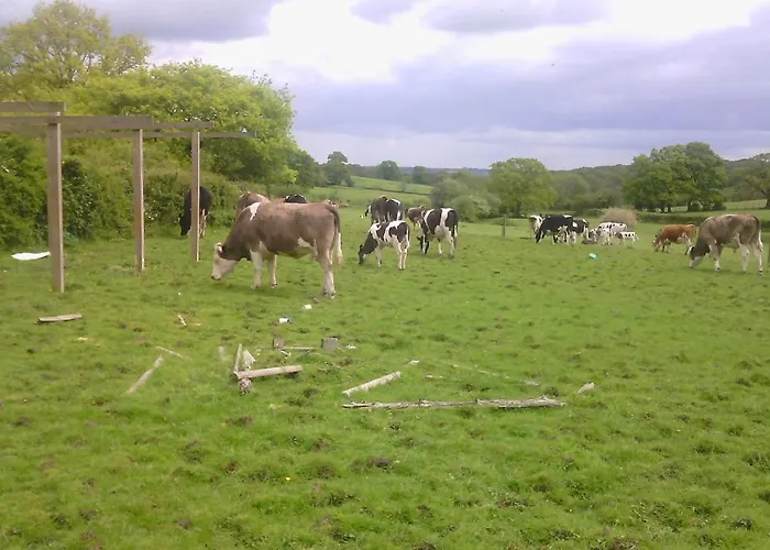 Beoley Lodge Stratford-upon-Avon